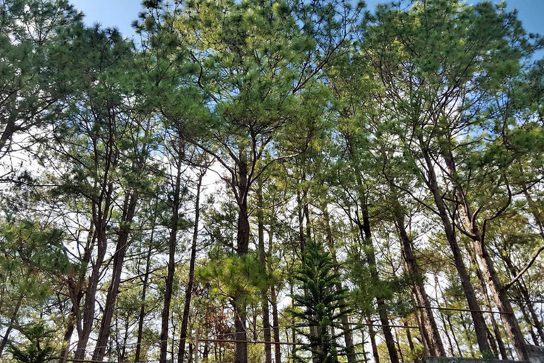 Others 3, 4F8 Princeton bldg North Cambridge Condo, Baguio City