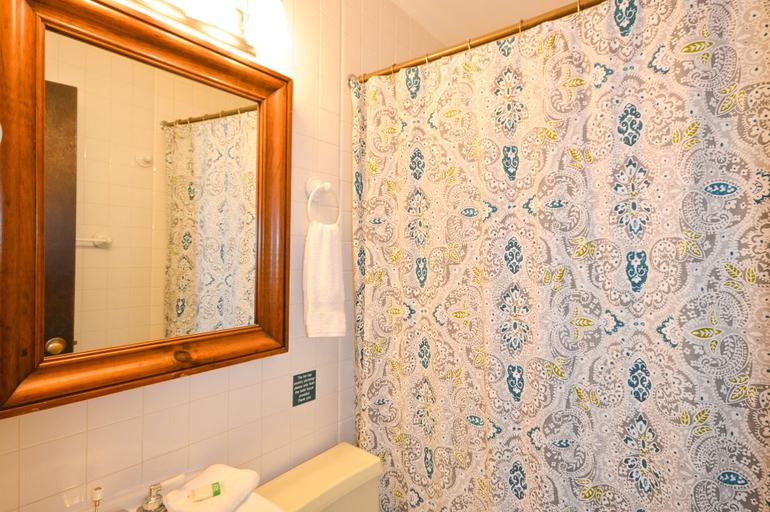 Bathroom 4, Lotus Mountain Retreat, Chittenden