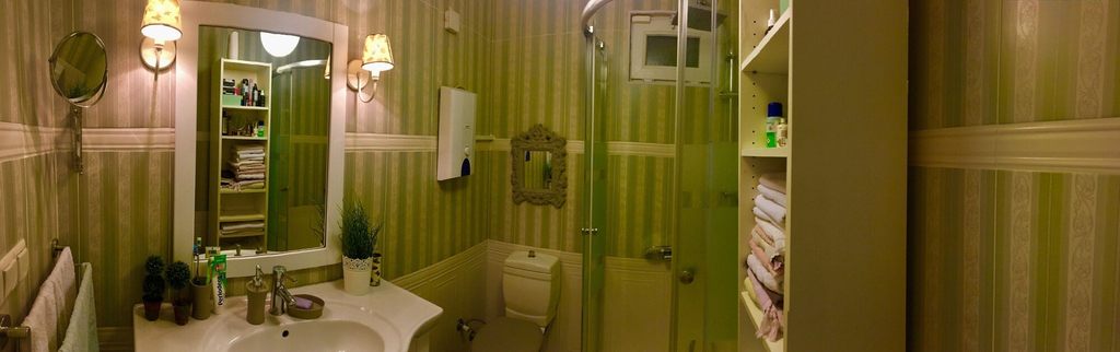Bathroom, Villa Gudca, Gebze