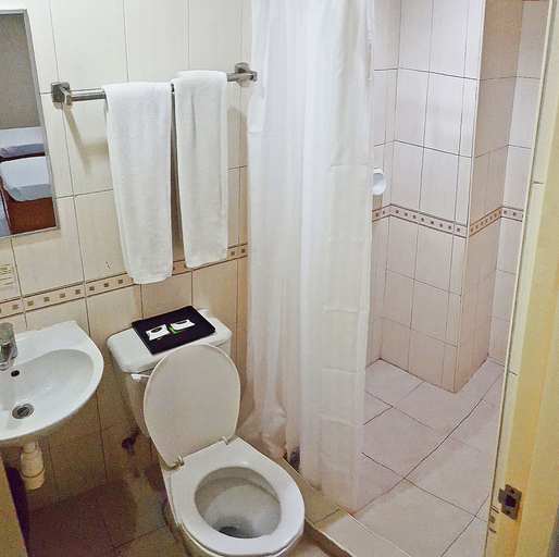 Bathroom 4, Golden Valley Hotel, Cebu City