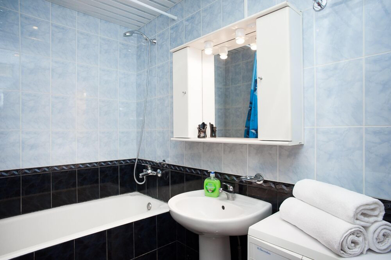 Bathroom 2, Inndays Nagornaya, South-Western