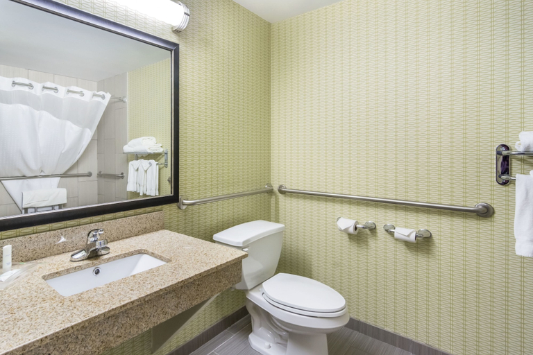 Bathroom 4, Clarion Hotel & Conference Centre, Division No. 11