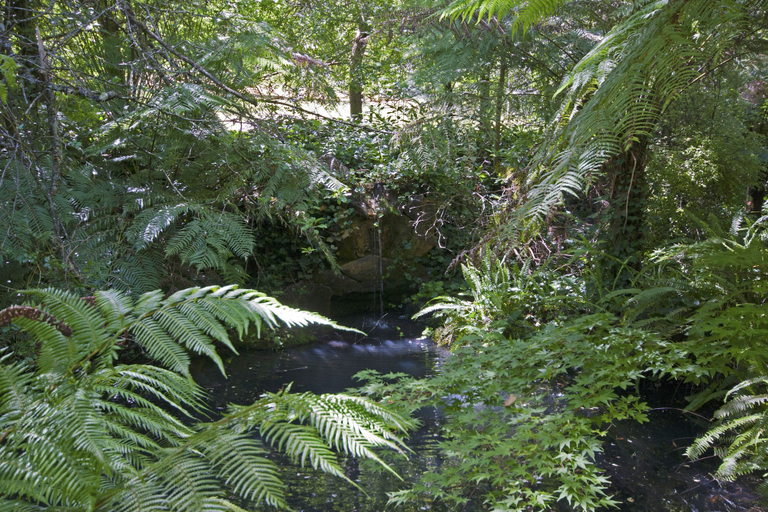 Others 5, Lotus Lodges, Yarra Ranges - Dandenongs