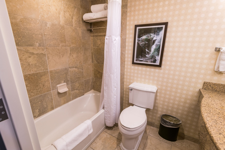 Bathroom 4, Hilton Garden Inn Bowling Green, Warren