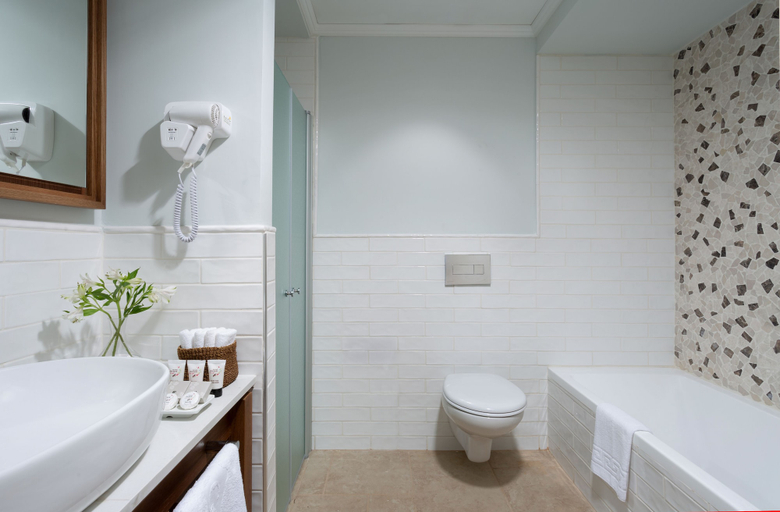 Bathroom 5, Merom Golan Resort
