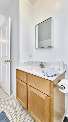Bathroom 4, White House at Grand Central, Saint Louis