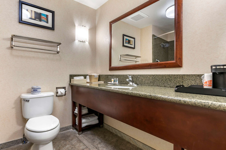 Bathroom 4, Comfort Suites Fernley, Lyon