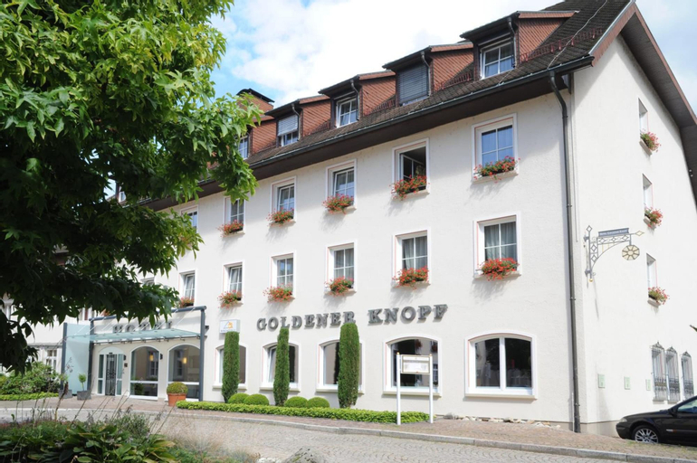 Hotel Goldener Knopf, Waldshut