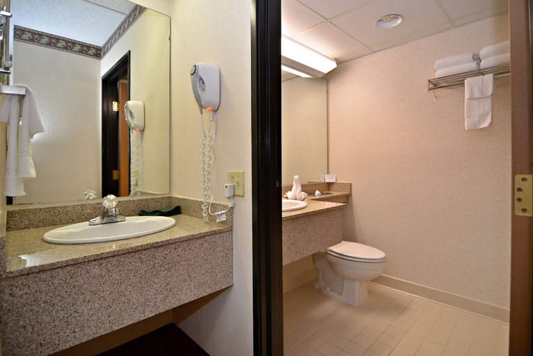 Bathroom 4, Comfort Inn at Thousand Hills, Taney
