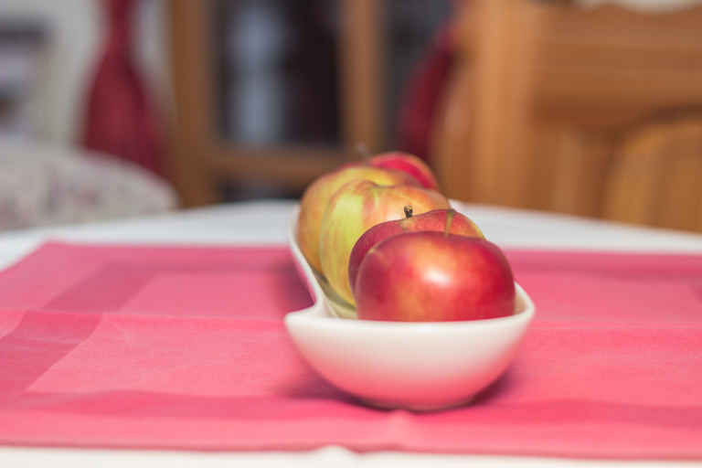 Food & Drinks 5, Guesthouse Jelenov Greben, Bistrica ob Sotli