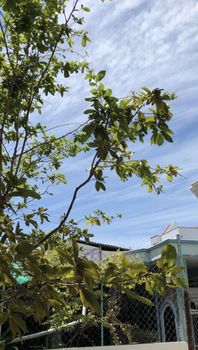 Exterior & Views 2, Cafune Homestay - Hostel, Nha Trang
