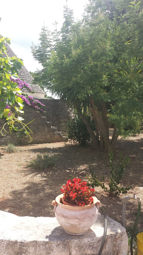 Others 5, Masseria Gianca, Brindisi