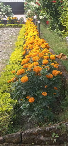 Others 5, Gorkha Hamlet Resort, Narayani