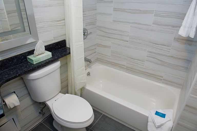 Bathroom 4, 7 Days Hotel Bronx, New York