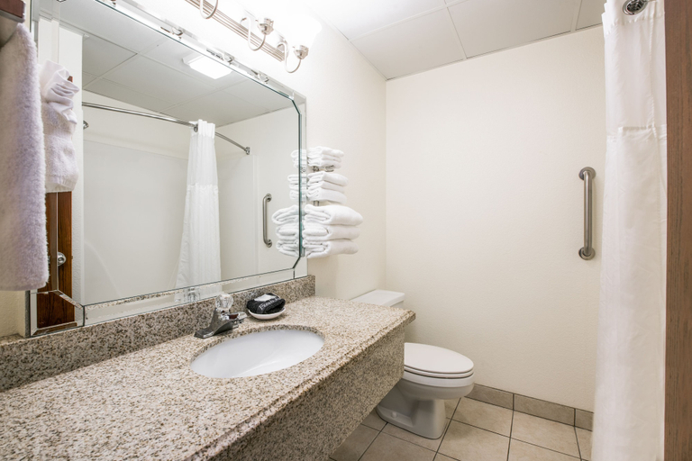 Bathroom 4, Savannah House Hotel, Taney