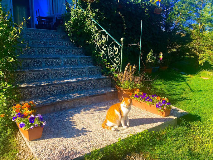 Garden 4, Villa Gudca, Gebze