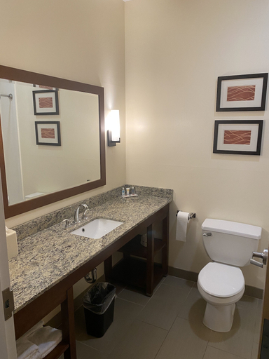 Bathroom 5, Comfort Inn Apalachin / Binghamton W Route 17, Tioga