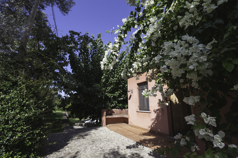 Exterior & Views 2, Agricontura, Messina