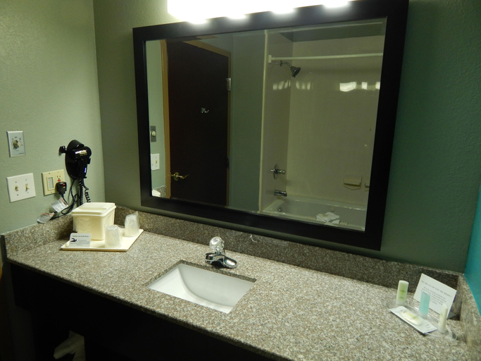 Bathroom 4, Comfort Suites Tampa - Brandon, Hillsborough