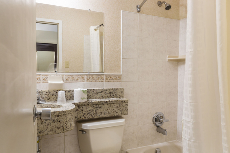 Bathroom, Econo Lodge Near Stewart Inter, Orange