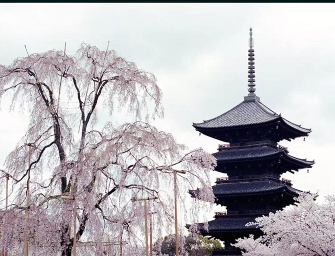 Exterior & Views 2, HANABI Kyoto, Kyoto
