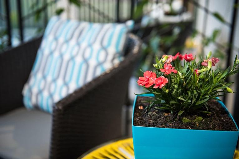Food & Drinks, The Wellington Bed & Breakfast, Northern Midlands - Pt A