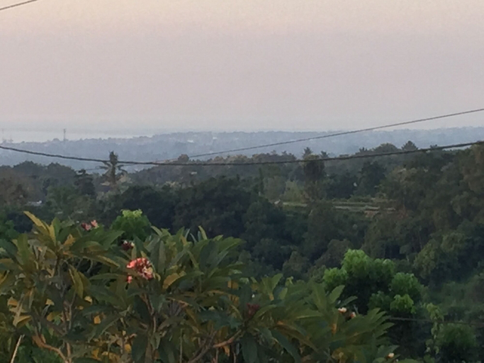 Others 5, The Kayuputih, Buleleng
