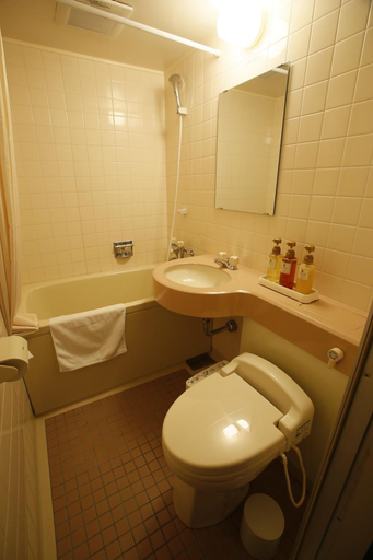 Bathroom 4, Hotel Kinsuien, Saiki