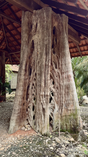 Exterior & Views 2, Sahom Valley Resort - Agro & Eco, Kinta