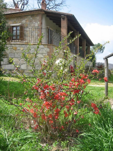 Others 5, Agriturismo Casa Fibbianello, Grosseto