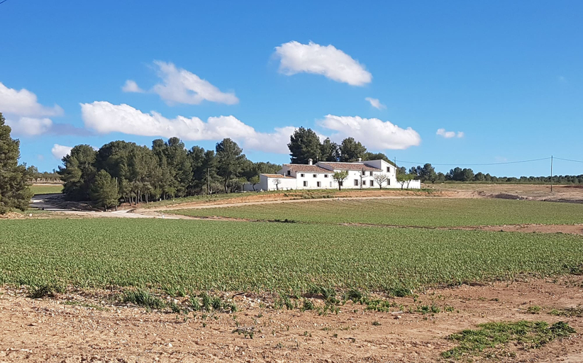 Exterior & Views 2, Casa Pedro Barrera, Murcia