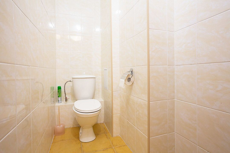 Bathroom 3, Etazhydaily Bibliotechnaya-Komsomolskaya, Ekaterinburg gorsovet
