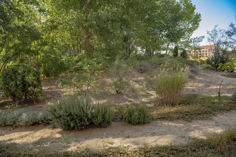 Others 5, Menada Dune Residence Apartments, Nesebar
