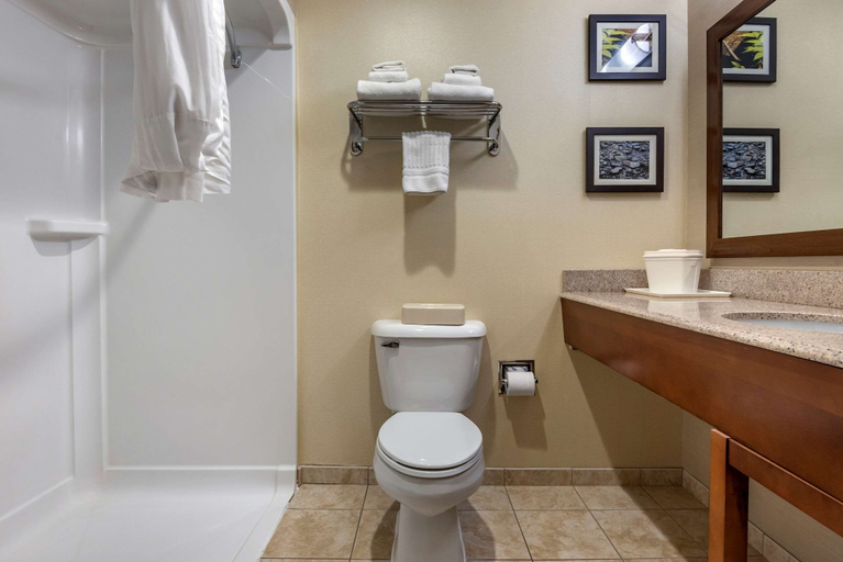 Bathroom 4, Comfort Inn & Suites Farmington - Victor, Ontario