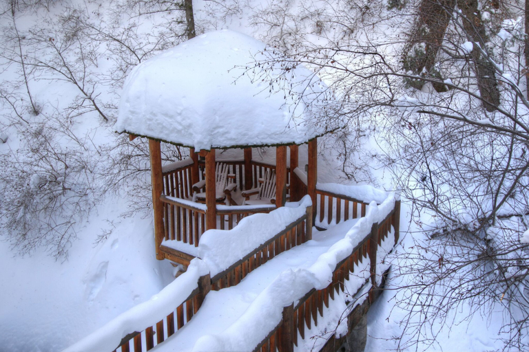 Others 5, Log Cabin on the Stream, Utah