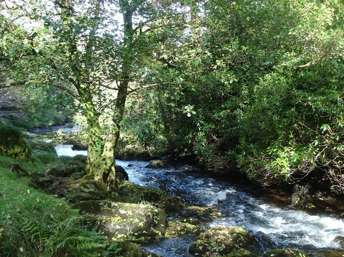 Others 5, Lorna Doone House, Devon