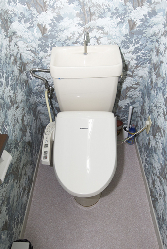 Bathroom 3, MAX Ebisu, Osaka