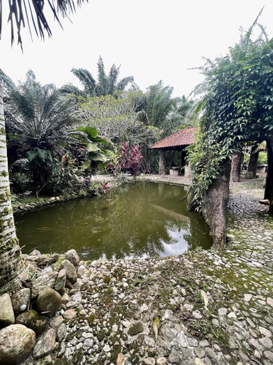 Others 5, Sahom Valley Resort - Agro & Eco, Kampar