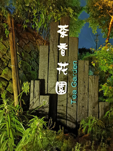 Others 5, Alishan Tea Garden, Chiayi County