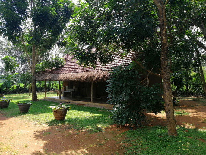 Others 4, Ama Villa Homestay, Hingurakgoda
