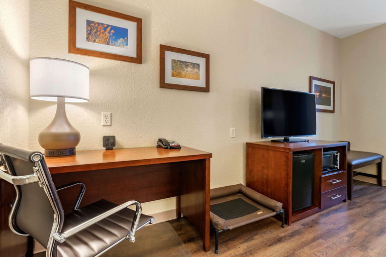 Others 5, Comfort Suites Fernley, Lyon