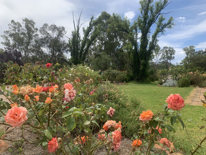 Others 5, Newell Motor Inn - Narrandera, Narrandera
