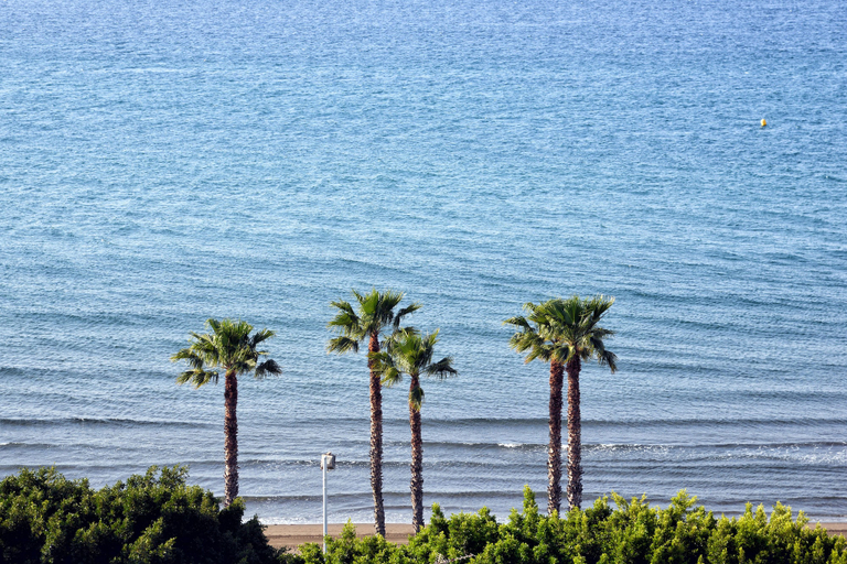 Others 5, Apartamentos La Perla Azul - WONDERSTAYS, Málaga