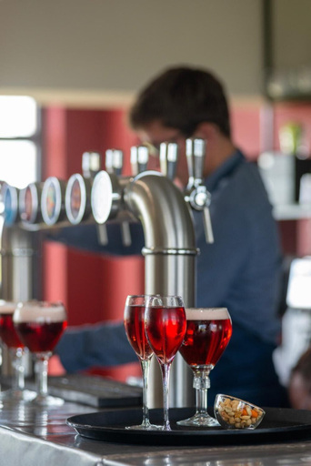 Food & Drinks 5, l'Aérodrome de la Baie de Somme, Somme