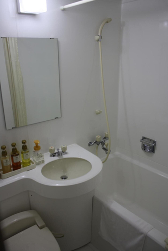 Bathroom 4, Hotel Kinsuien, Saiki