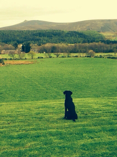 Others 5, Finzean Estate Holiday Cottages, Aberdeenshire