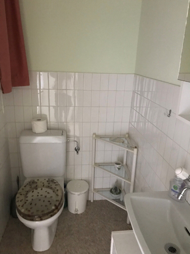 Bathroom 3, Minusio-Locarno Navengana Apt. 3, Locarno