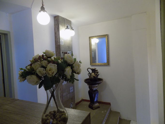 Others 4, Hotel San Carlo, Guanajuato