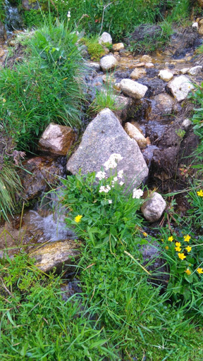 Others 5, VVF Alsace Orbey Colmar, Haut-Rhin
