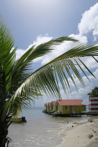Others 5, El Faro del Colibri, Bocas del Toro